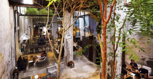 An industrial-style cafe interior with concrete walls, hanging lights, and plants.