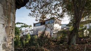 An old residential house surrounded by shrubbery and trees, with visible aged walls and a modern glass extension.