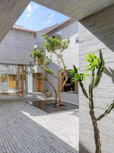 A modern concrete house with a courtyard featuring trees and a cactus.