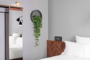 A minimalist bedroom featuring a wooden headboard and a concrete wall with a hanging plant.