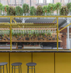 A restaurant bar with yellow metal shelving, green planters, and a variety of bottles and glasses.