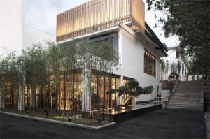 A modern residential exterior with concrete finish and a lush green garden.