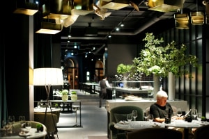 A modern cafe with metallic lighting, glass elements, and green plants.