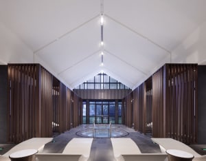Modern minimalist spa interior with water feature, wooden slats, and glass windows.