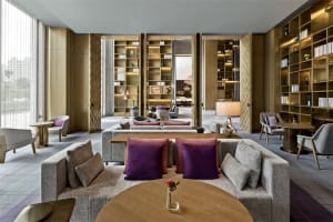 Luxurious hotel lobby with contemporary seating, bookshelves, and modern decor.
