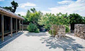 A minimalist outdoor space featuring a tiled roof and stone wall with greenery