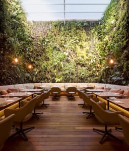 A modern restaurant interior with wooden floors and a living wall.
