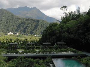 A scenic view of a pool surrounded by natural elements and greenery.