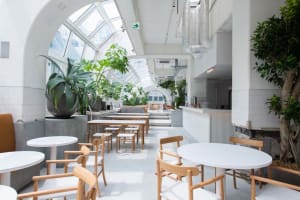 A modern cafe with concrete, wooden furniture, and glass elements.
