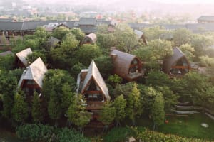 Modern residential treehouses surrounded by greenery, constructed from wood.