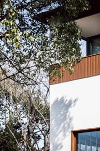 Modern exterior wall with wooden fence and green foliage