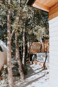 A minimalist outdoor living area featuring a wooden deck surrounded by trees and plants.