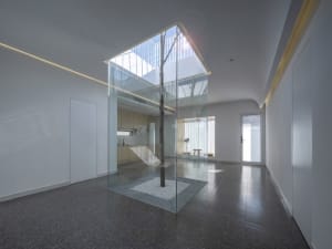 A modern living room with a glass box containing a tree and white rock, surrounded by white walls and floor.