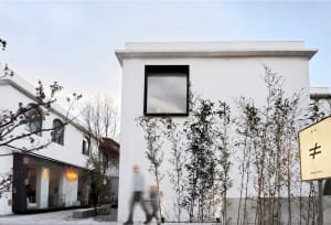 Modern building with white walls and large glass windows surrounded by tall bamboo plants