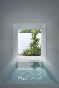 A minimalist interior design featuring a concrete pool and a well-manicured tree through a large window.
