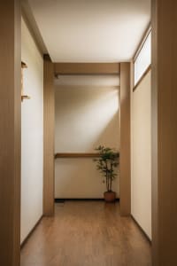 A modern minimalist corridor with wood flooring and a potted plant in the corner.