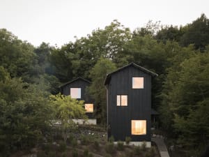 A modern, black-cladded residence nestled in a forest setting.