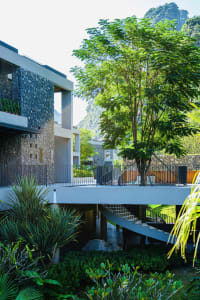 Modern residential building surrounded by lush greenery and featuring a mix of materials.