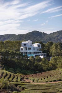 Modern white concrete residence overlooking a lush tea plantation on a clear day with blue sky.