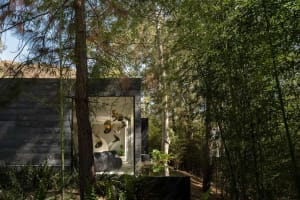 A modern house surrounded by tall trees and lush greenery.