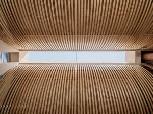 A detailed view of modern, curved wooden paneling within an architectural structure.