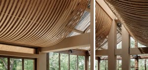 An image showcasing a modern interior design with a unique, curved wooden ceiling.