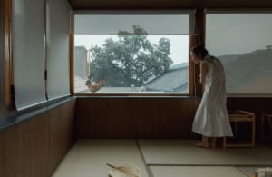 A person wearing a white dress looking out of a traditional Japanese window, with tatami mats and a chicken outside.