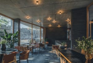Interior design of an industrial cafe with concrete walls and floor, featuring wooden tables and chairs, and natural lighting