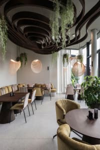Contemporary restaurant interior featuring a wooden ceiling with circular design elements, hanging plants, and a mix of seati