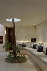 A modern living room featuring a circular arrangement of seating with cushions, a central tree with green foliage, and decora