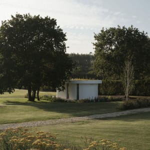 A modern white residential building with a green roof, surrounded by greenery and a gravel path.