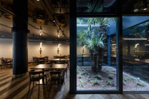A modern restaurant interior featuring wooden furniture, glass walls, and a central potted plant.