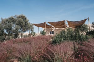 An architectural desert resort built with organic shades and local adobe stone.