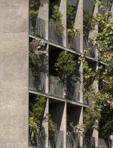 Concrete building with greenery on balconies