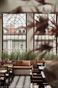 Minimalist cafe interior with wooden benches and tables surrounded by plants.