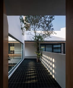 A modern residential interior with a concrete floor and a single tree in the center.