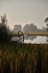 A tranquil natural swimming pool with a wooden dock surrounded by green foliage and tall grass.