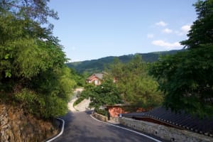 A rural road lined with trees and buildings, surrounded by greenery and mountains.