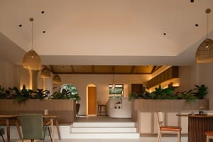 Modern cafe interior featuring wooden furniture, concrete flooring, and lush green plants.
