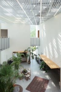 An industrial-style living space featuring concrete walls and floor, with a large potted plant and a long wooden table.