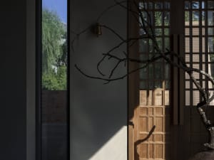 A minimalist doorway adorned with a branch on a wooden wall, featuring a small brass light fixture.
