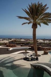An outdoor patio with minimalist design features, including a palm tree, sun loungers, and a concrete surface.