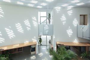 A modern office space featuring wooden tables and concrete walls.