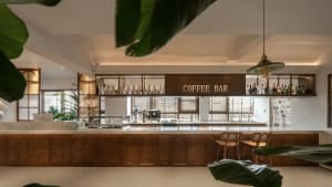 A minimalist coffee bar featuring wooden cabinets and marble countertops.