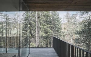 Modern outdoor space featuring glass walls and wooden decking surrounded by a forest.