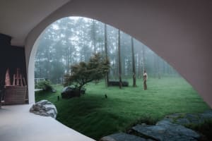 A minimalist landscape featuring grass, rocks, and trees under foggy weather conditions.