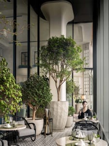 Modern restaurant interior with concrete columns, potted plants, and tables set with plates and glasses.