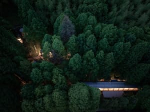 Aerial view of a modern residential treehouse nestled within a dense forest, showcasing sustainable living and architectural 