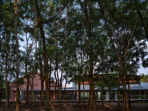 A modern house surrounded by trees with a wooden exterior.