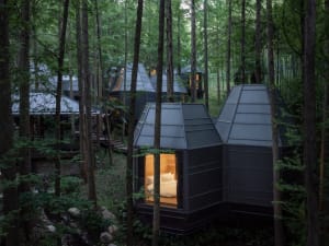 A modern wooden tree house nestled in a dense forest, featuring a cozy interior.